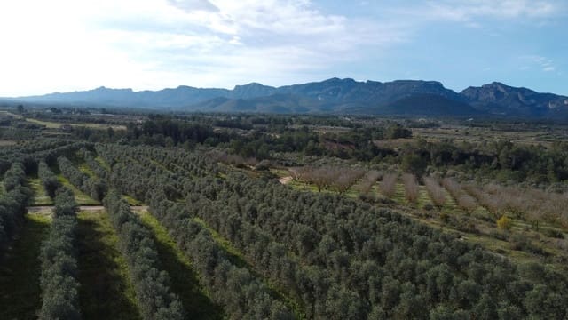 Finca/Landhuis te koop in Tivissa - € 950.000 (Ref: 9617939)