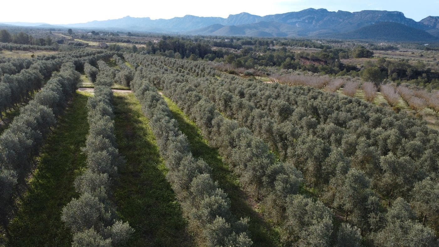 Finca/Country House for sale in Tivissa - € 950,000 (Ref: 9617939)