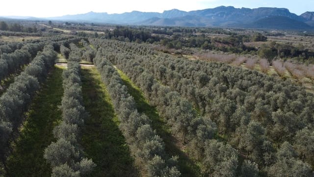 Finca/Landhuis te koop in Tivissa - € 950.000 (Ref: 9617939)