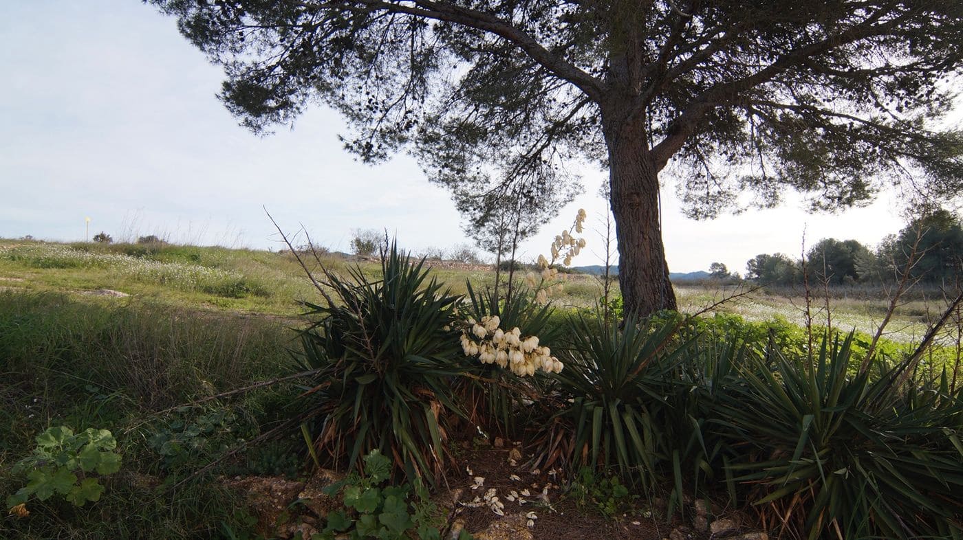 Finca/Country House for sale in Tivissa - € 950,000 (Ref: 9617939)