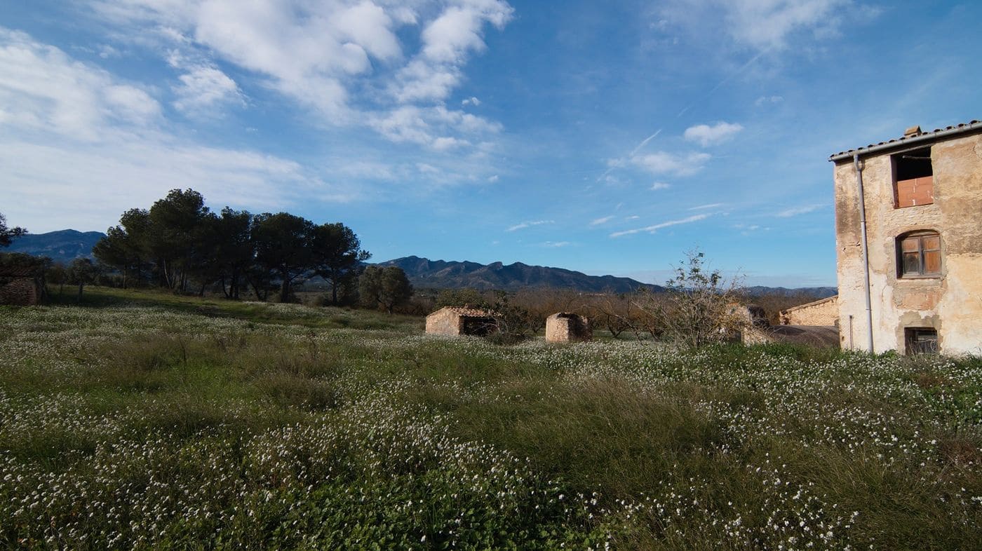 Finca/Country House for sale in Tivissa - € 950,000 (Ref: 9617939)