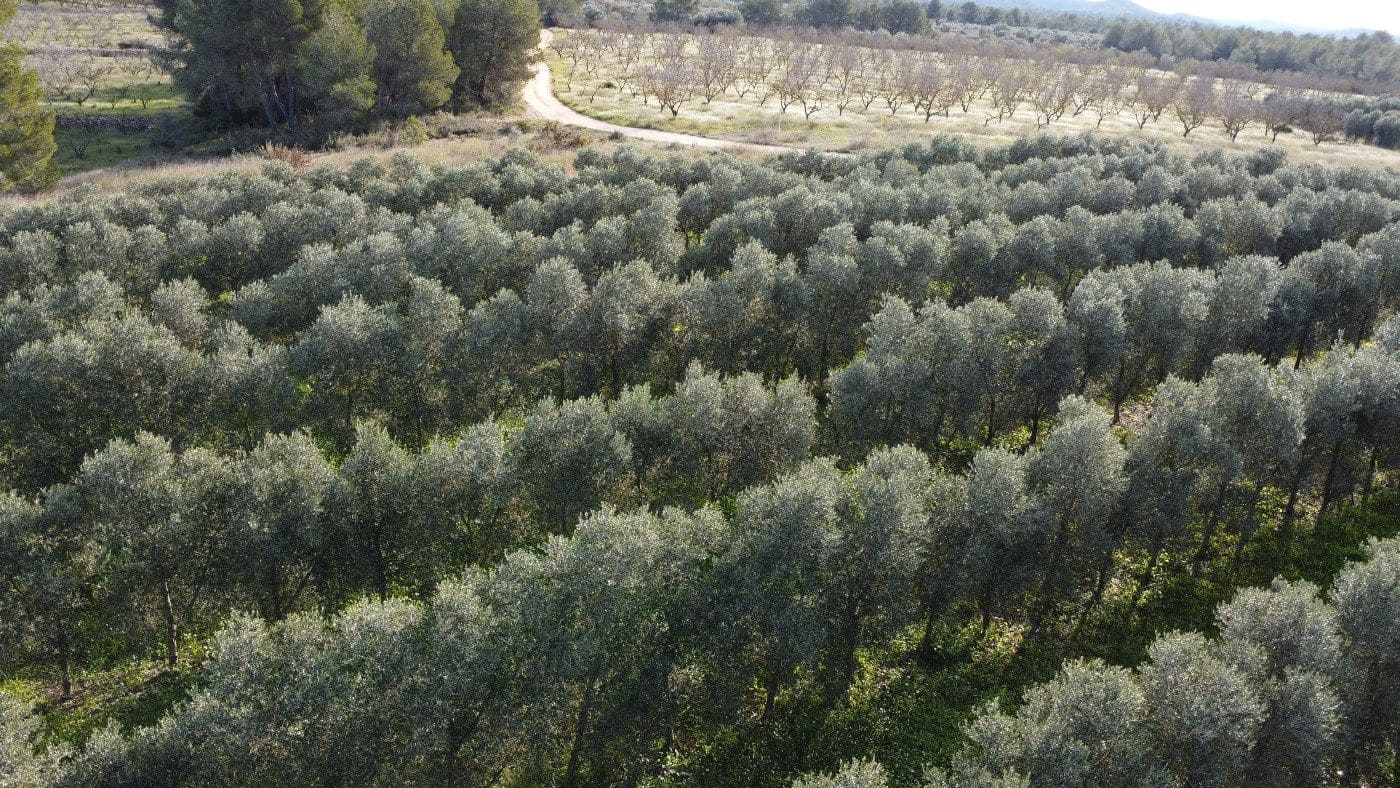 Finca/Country House for sale in Tivissa - € 950,000 (Ref: 9617939)