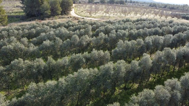 Finca/Landhuis te koop in Tivissa - € 950.000 (Ref: 9617939)