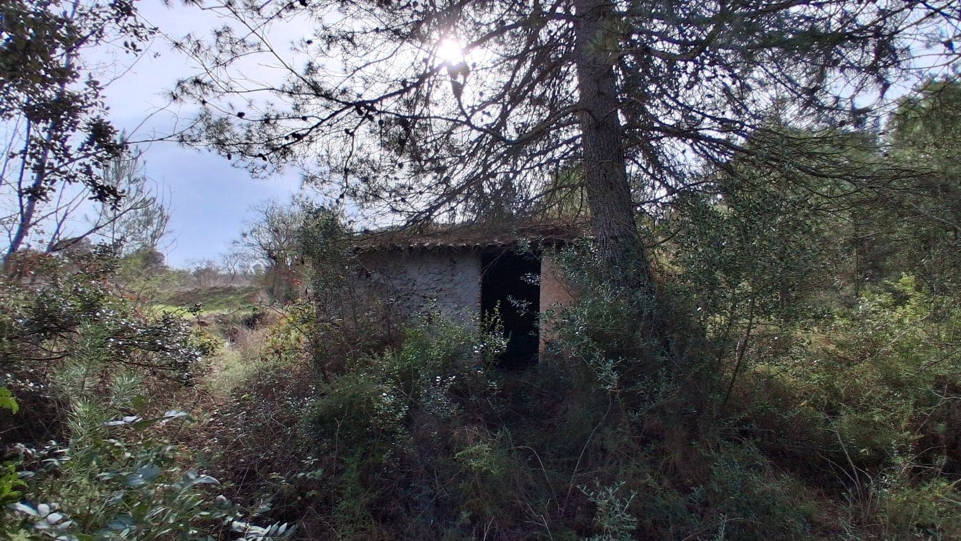 Mark till salu i Falset - 25 000 € (Ref: 9617940)