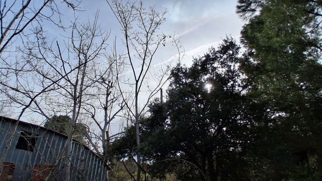 Landgrundstück zu verkaufen in Falset - 25.000 € (Ref: 9617940)