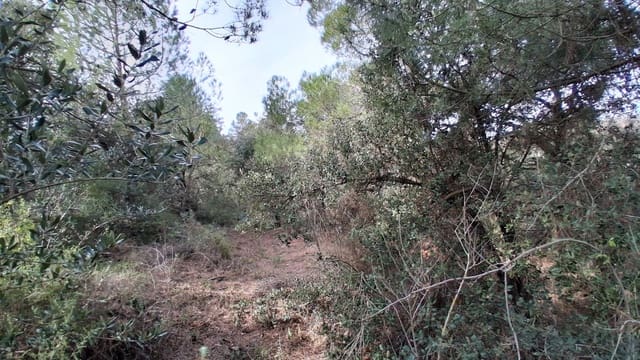 Landgrundstück zu verkaufen in Falset - 25.000 € (Ref: 9617940)