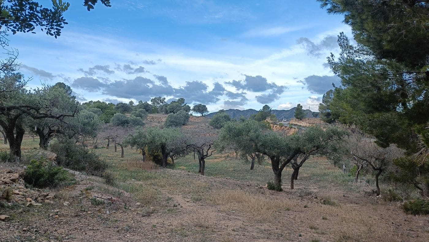 Mark till salu i Rasquera - 20 000 € (Ref: 9617941)