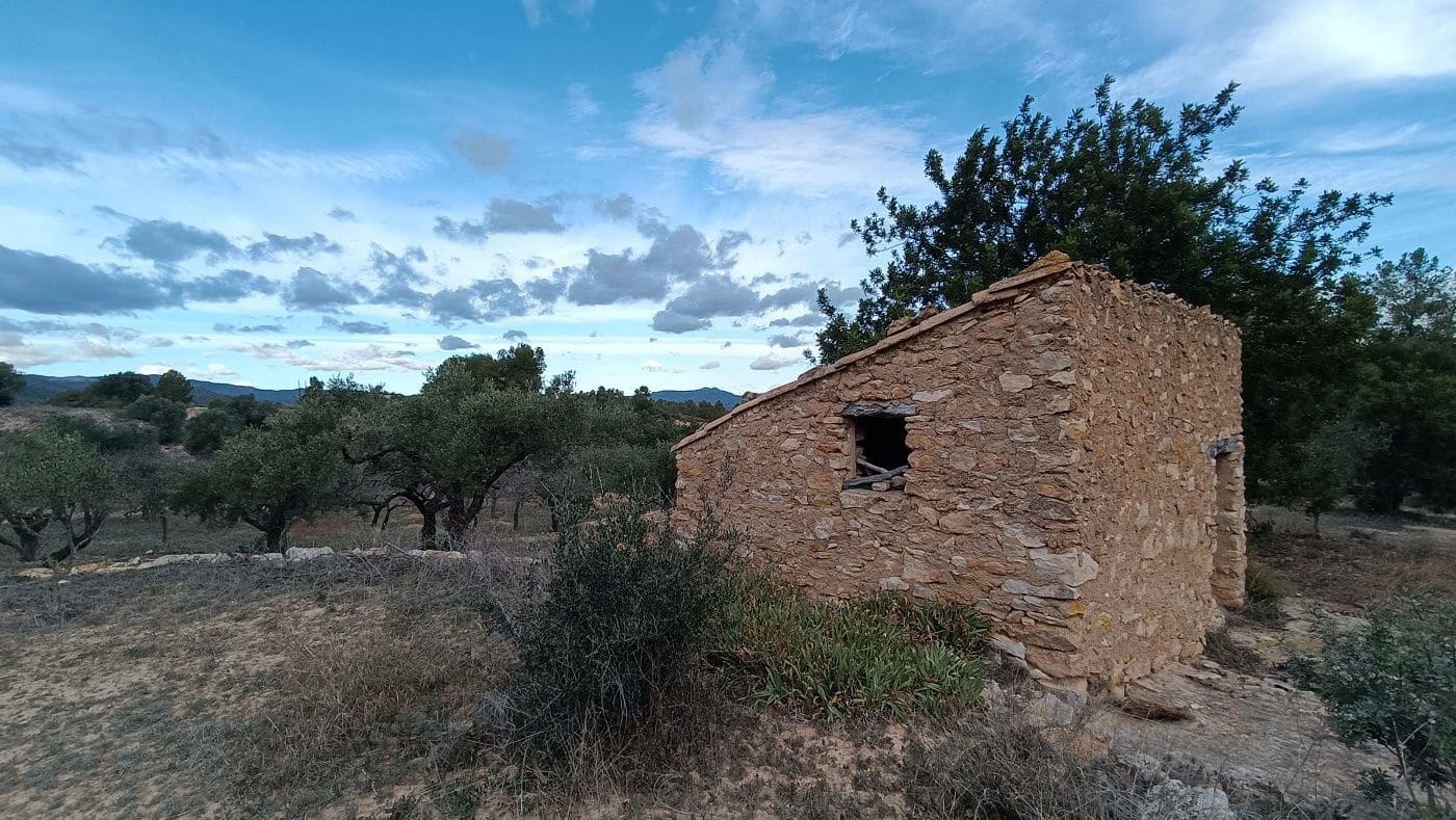 Mark till salu i Rasquera - 20 000 € (Ref: 9617941)