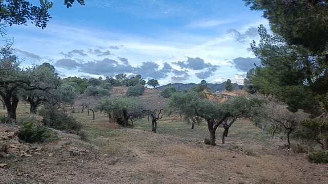 Grunde uden byggetilladelser til salg i Rasquera - € 20.000 (Ref: 9617941)