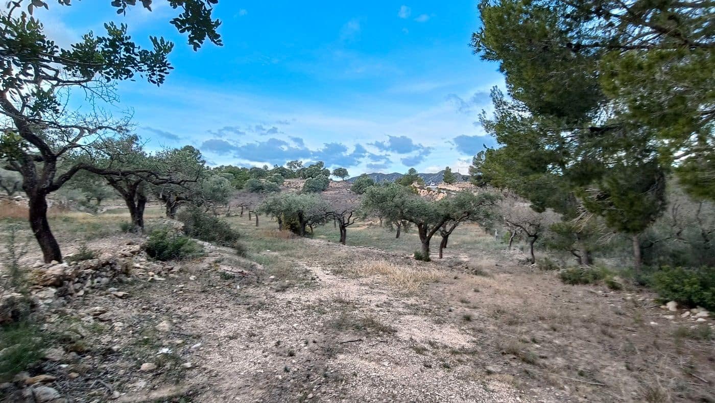 Mark till salu i Rasquera - 20 000 € (Ref: 9617941)