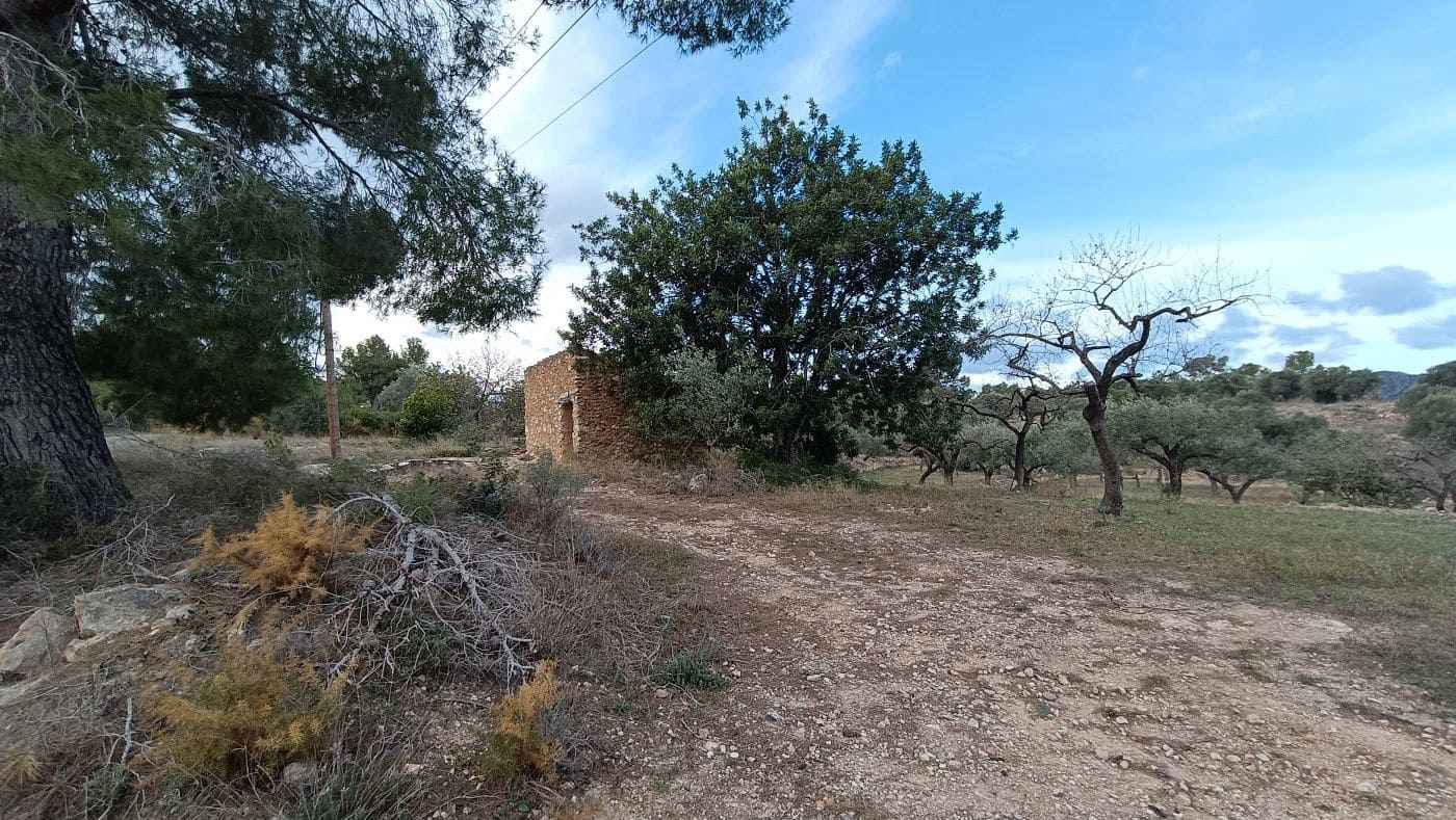 Mark till salu i Rasquera - 20 000 € (Ref: 9617941)