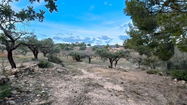 Grunde uden byggetilladelser til salg i Rasquera - € 20.000 (Ref: 9617941)