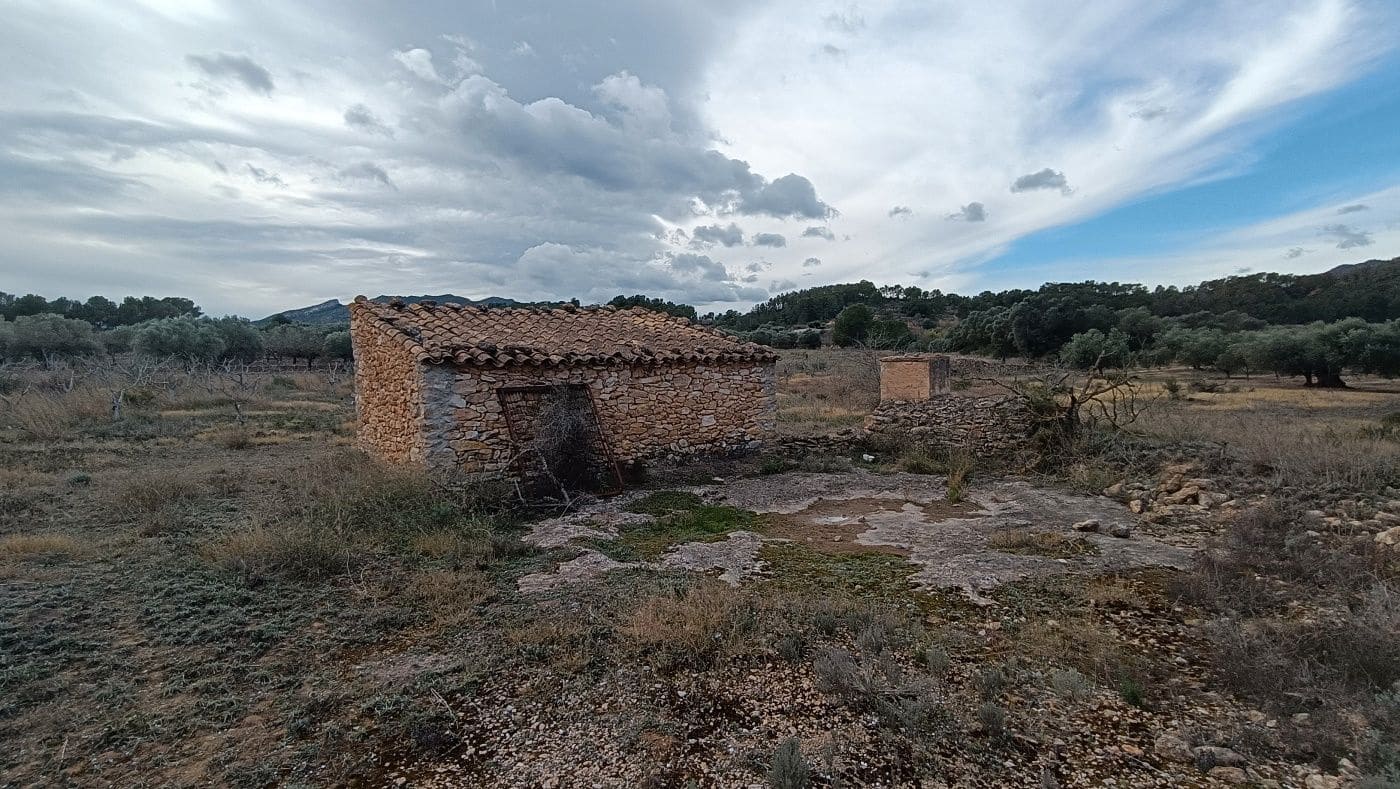Undeveloped Land for sale in Rasquera - € 30,000 (Ref: 9617942)