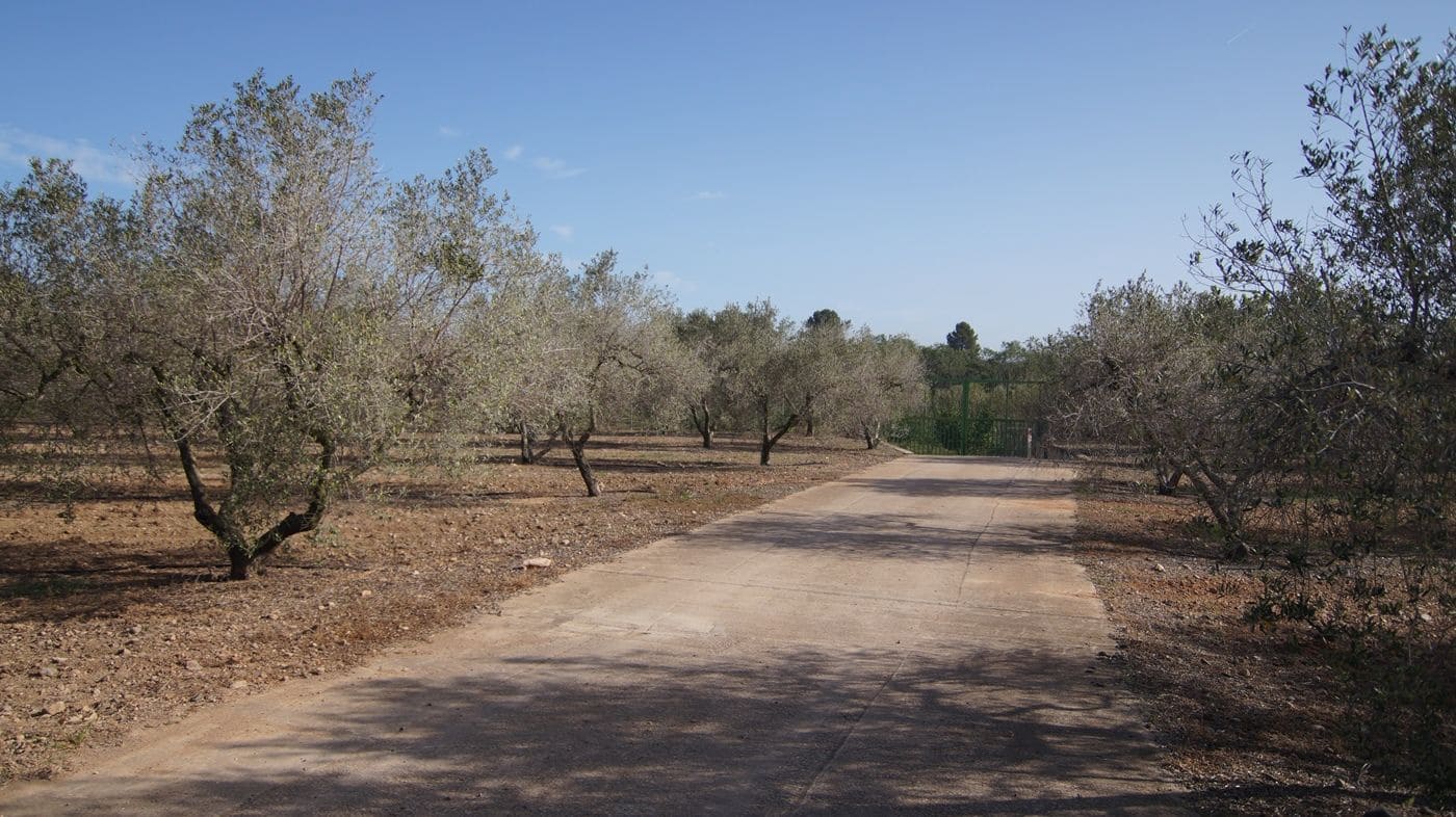 6 bedroom Finca/Country House for sale in Reus with garage - € 400,000 (Ref: 9617945)