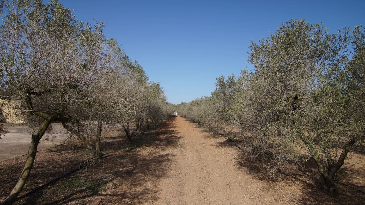 6 bedroom Finca/Country House for sale in Reus with garage - € 400,000 (Ref: 9617945)