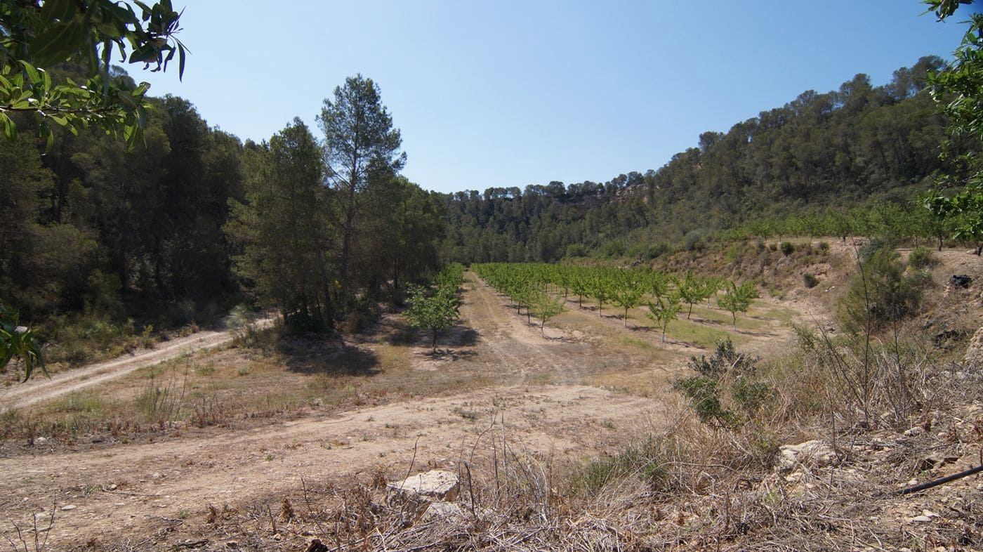 Maalaistalo myytävänä paikassa Ginestar - 56 000 € (Ref: 9617947)