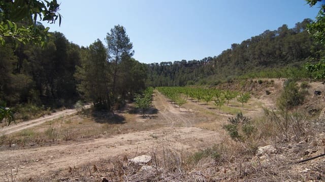 Finca/Herregård til salgs i Ginestar - € 56 000 (Ref: 9617947)