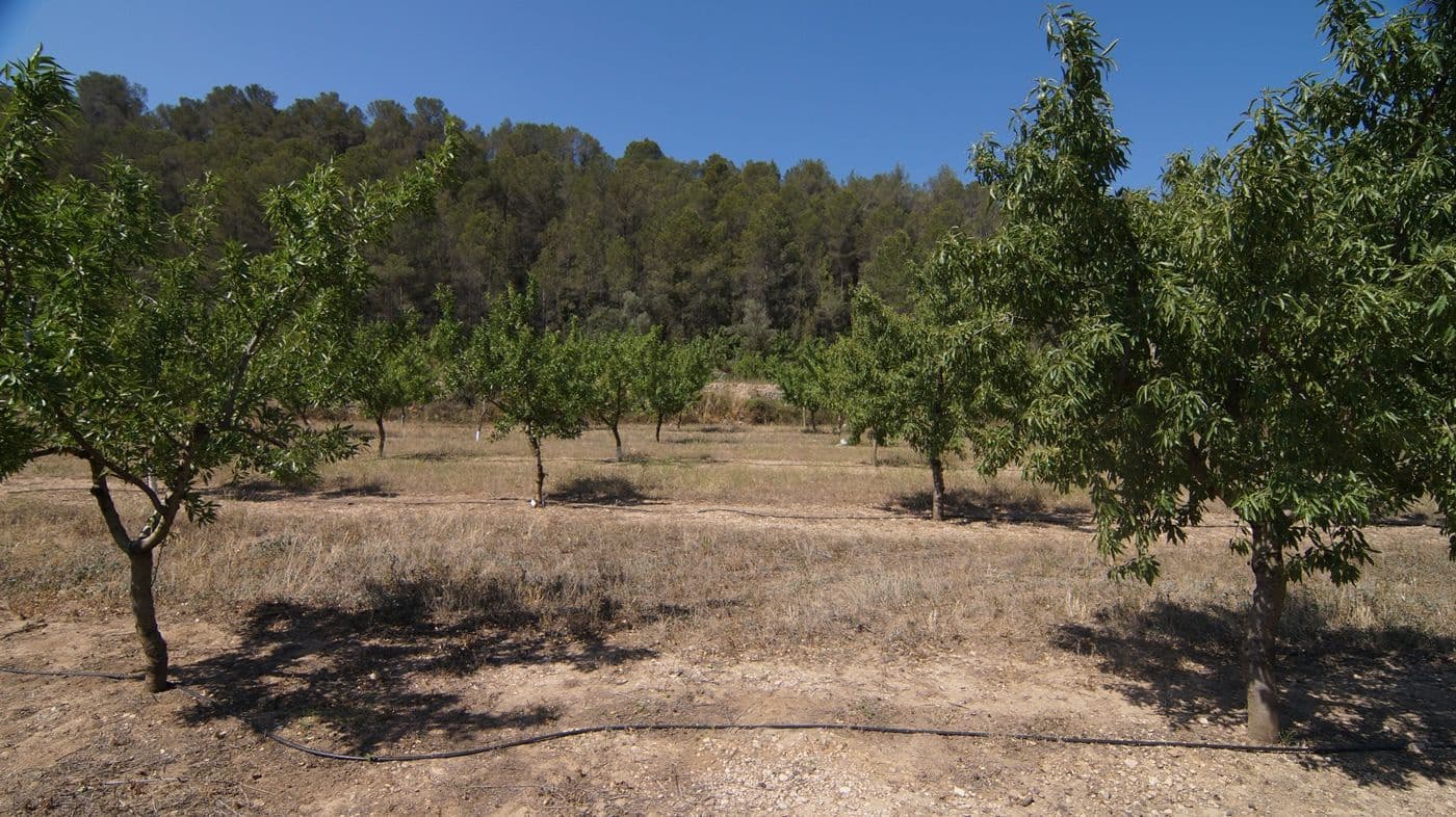 Maalaistalo myytävänä paikassa Ginestar - 56 000 € (Ref: 9617947)