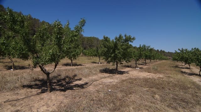 Finca/Herregård til salgs i Ginestar - € 56 000 (Ref: 9617947)