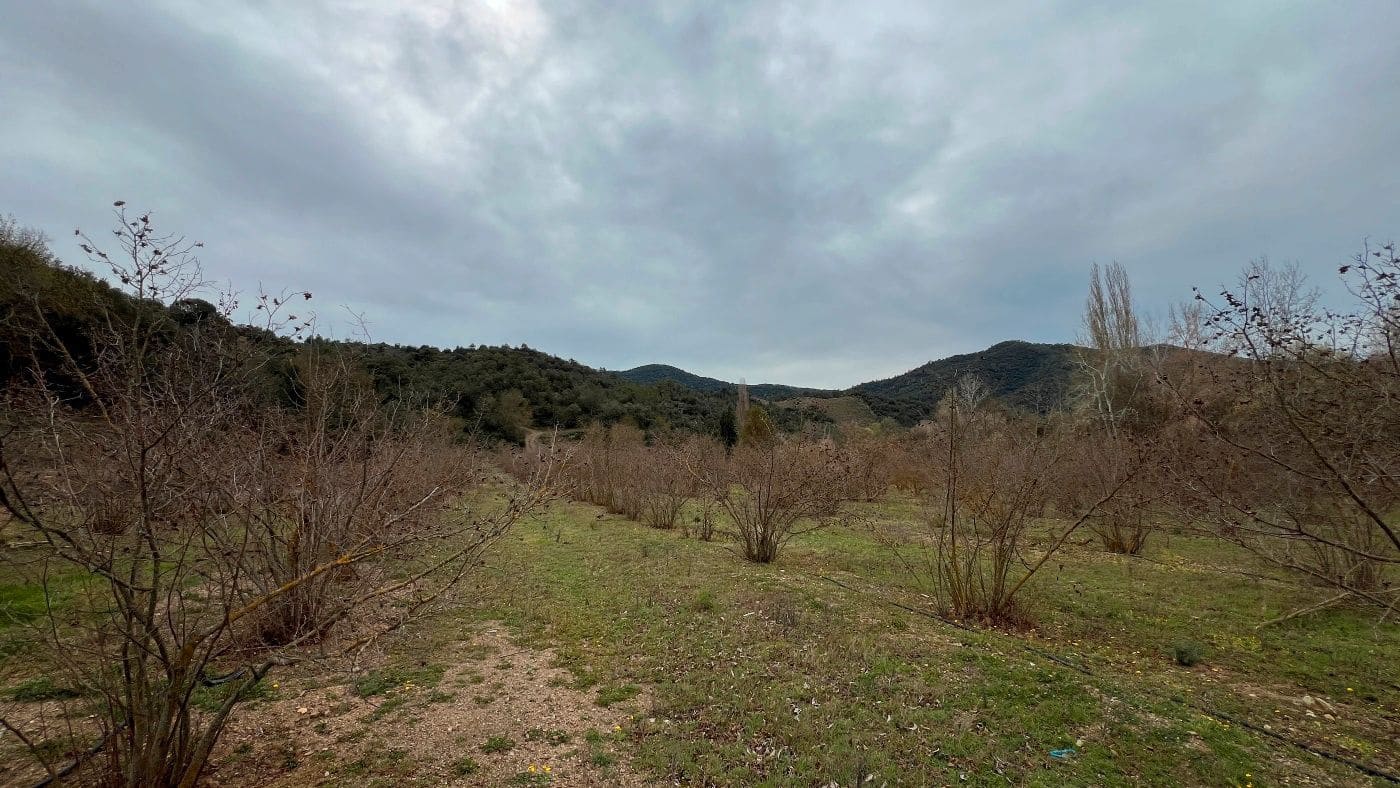 2 Zimmer Finca/Landgut zu verkaufen in Cornudella de Montsant - 295.000 € (Ref: 9617952)
