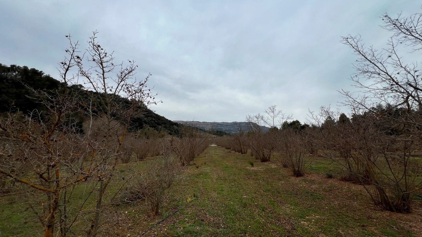 2 Zimmer Finca/Landgut zu verkaufen in Cornudella de Montsant - 295.000 € (Ref: 9617952)