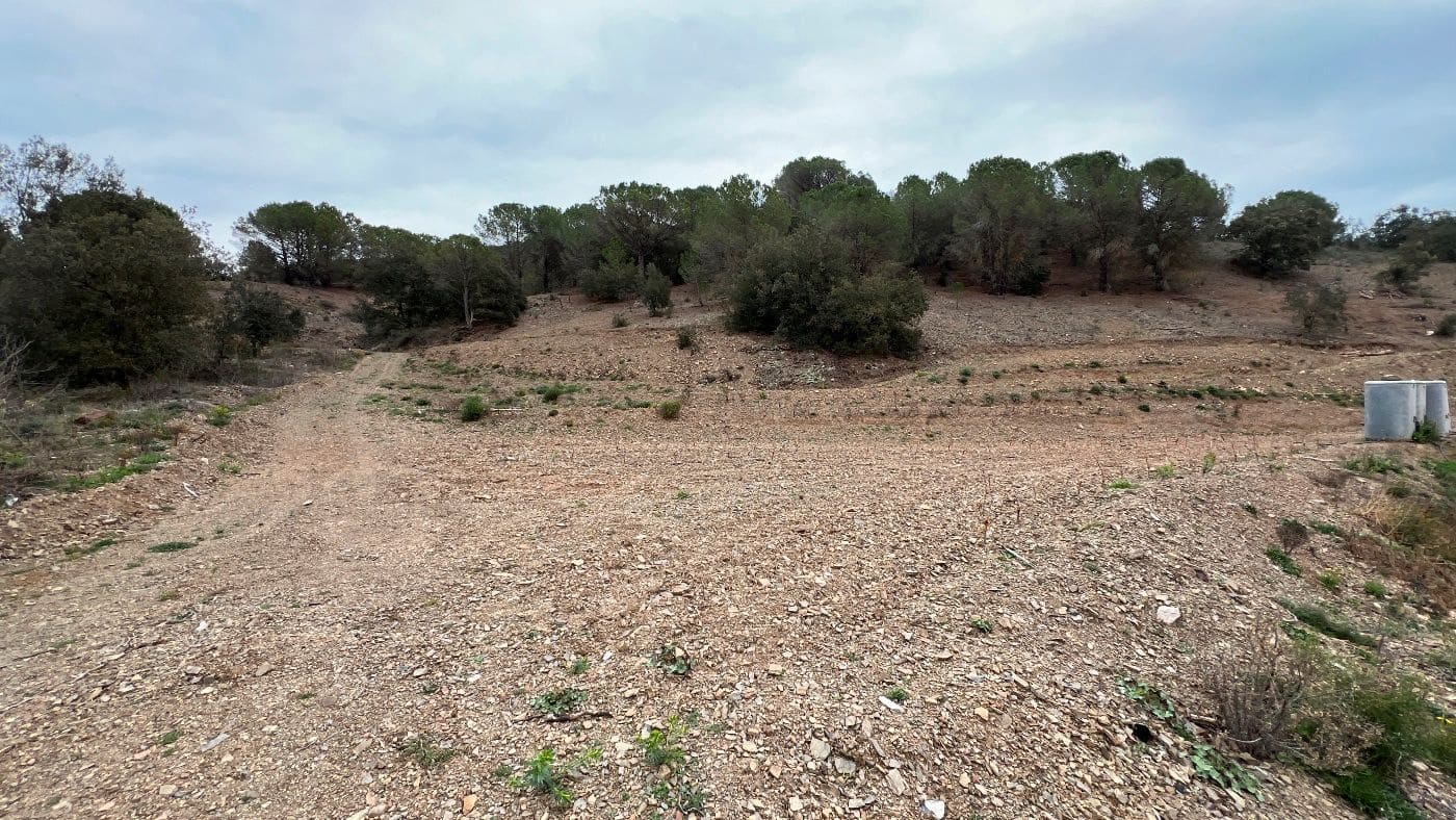 2 Zimmer Finca/Landgut zu verkaufen in Cornudella de Montsant - 295.000 € (Ref: 9617952)