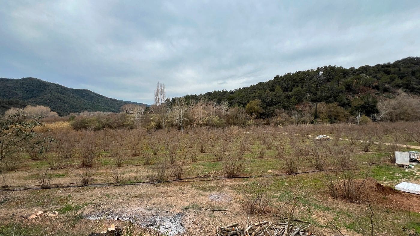 2 Zimmer Finca/Landgut zu verkaufen in Cornudella de Montsant - 295.000 € (Ref: 9617952)