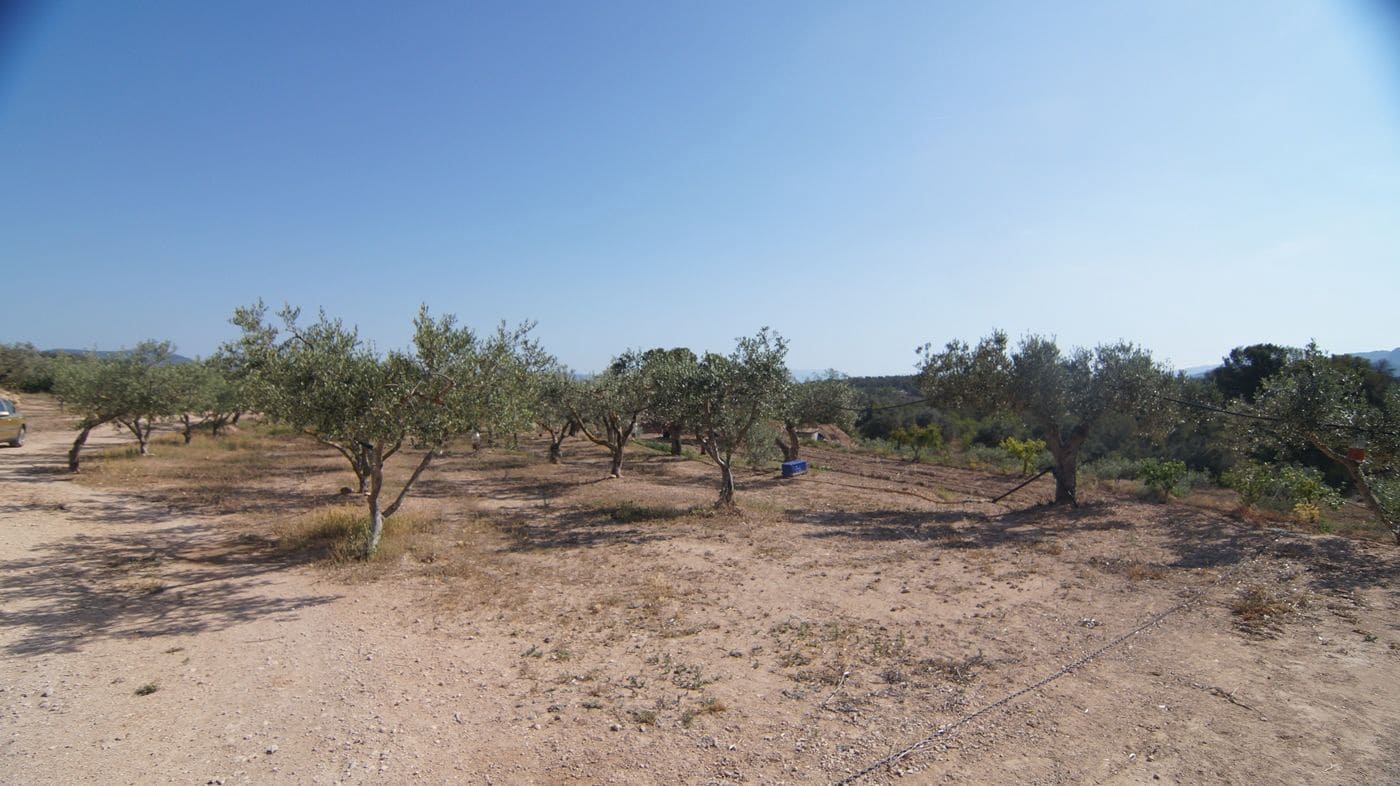 2 makuuhuone Maalaistalo myytävänä paikassa Miravet - 140 000 € (Ref: 9617953)