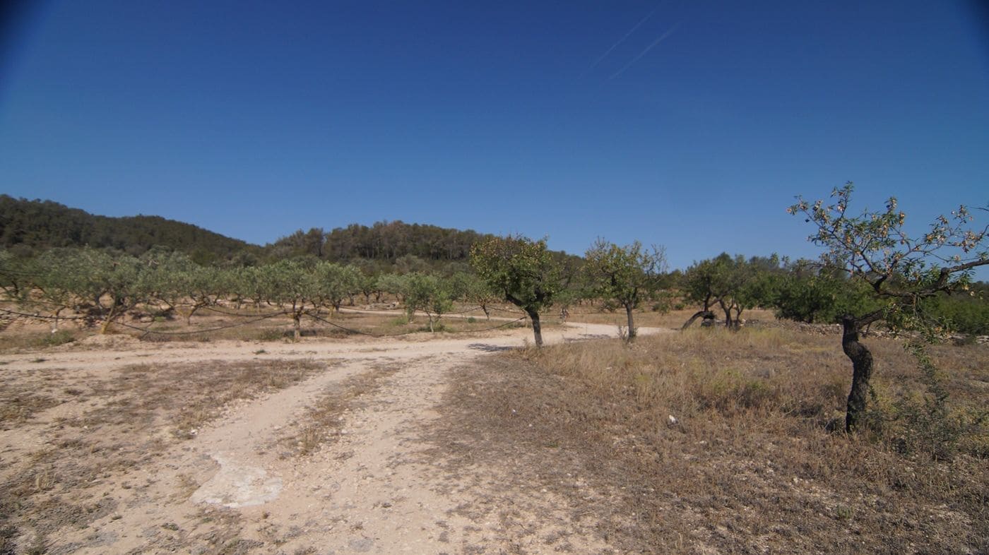 2 makuuhuone Maalaistalo myytävänä paikassa Miravet - 140 000 € (Ref: 9617953)