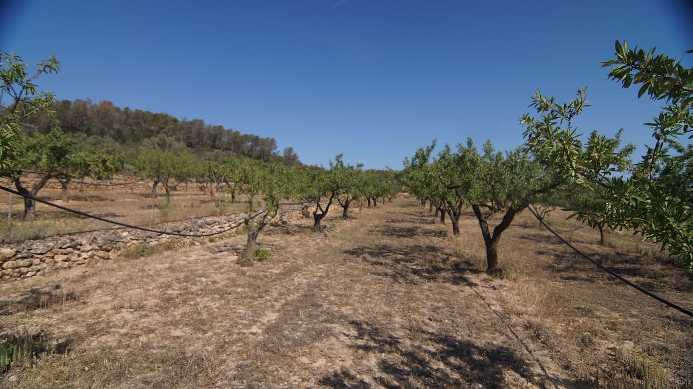 2 makuuhuone Maalaistalo myytävänä paikassa Miravet - 140 000 € (Ref: 9617953)