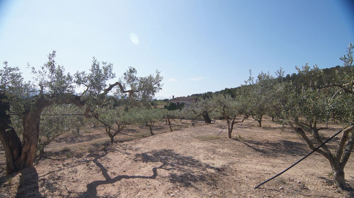 2 makuuhuone Maalaistalo myytävänä paikassa Miravet - 140 000 € (Ref: 9617953)