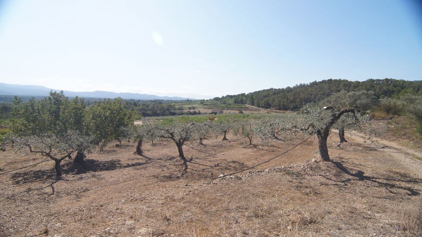 2 makuuhuone Maalaistalo myytävänä paikassa Miravet - 140 000 € (Ref: 9617953)