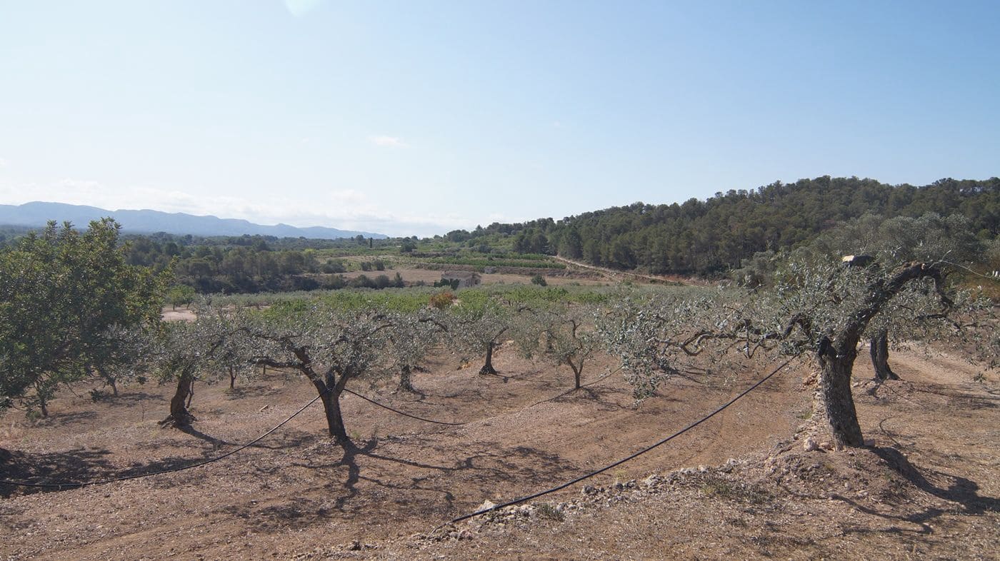 2 makuuhuone Maalaistalo myytävänä paikassa Miravet - 140 000 € (Ref: 9617953)