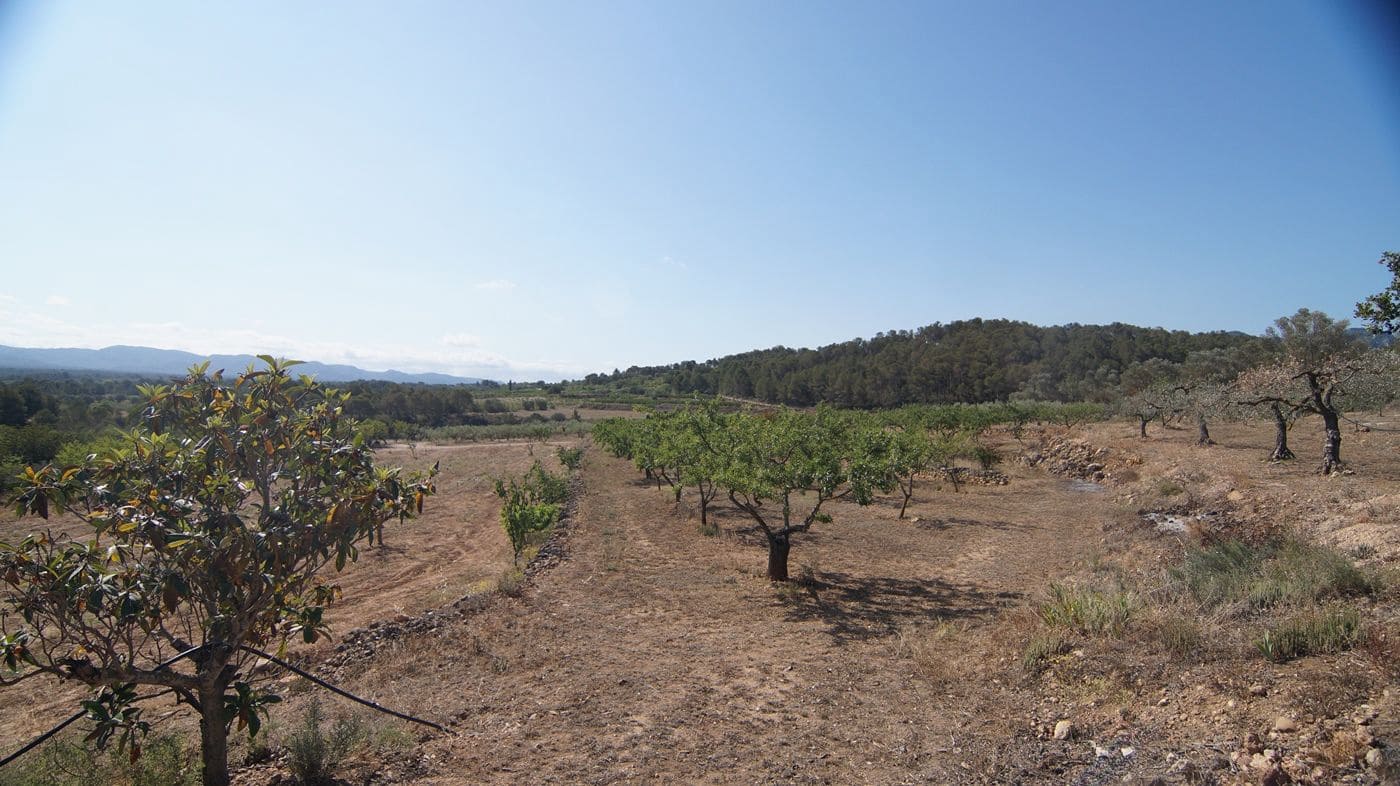 2 makuuhuone Maalaistalo myytävänä paikassa Miravet - 140 000 € (Ref: 9617953)