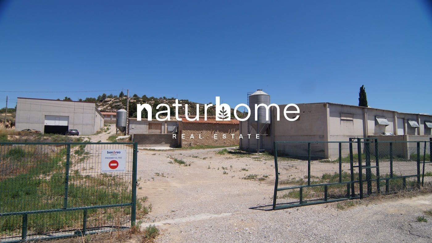 Gewerbe zu verkaufen in Els Omellons - 750.000 € (Ref: 9617954)