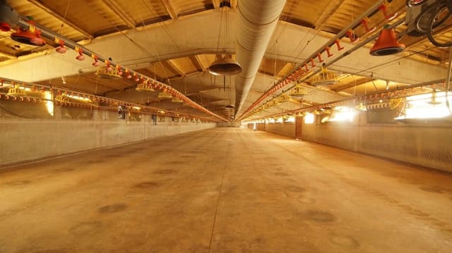 Komercyjne na sprzedaż w Els Omellons - 750 000 € (Ref: 9617954)