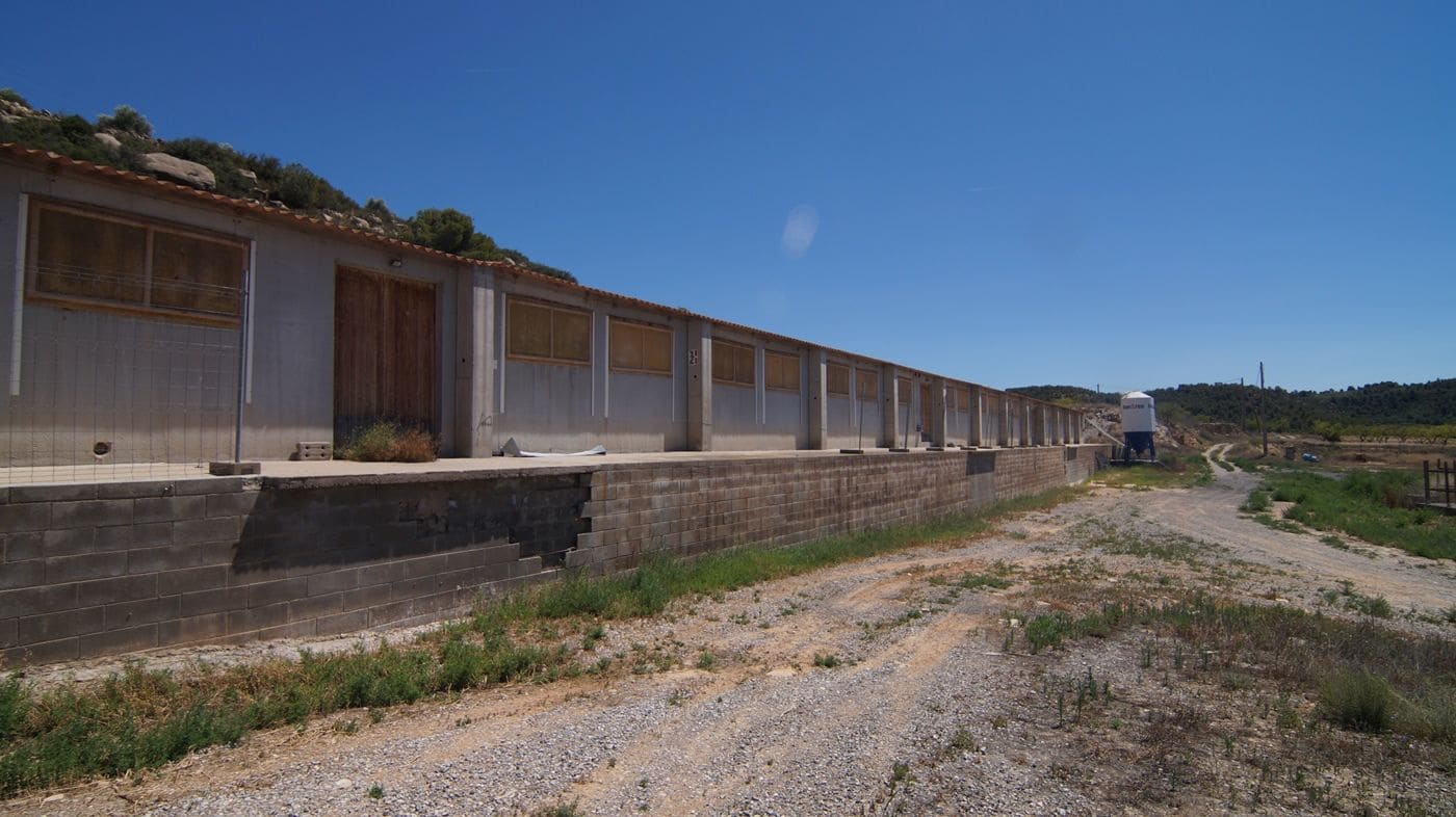 Gewerbe zu verkaufen in Els Omellons - 750.000 € (Ref: 9617954)