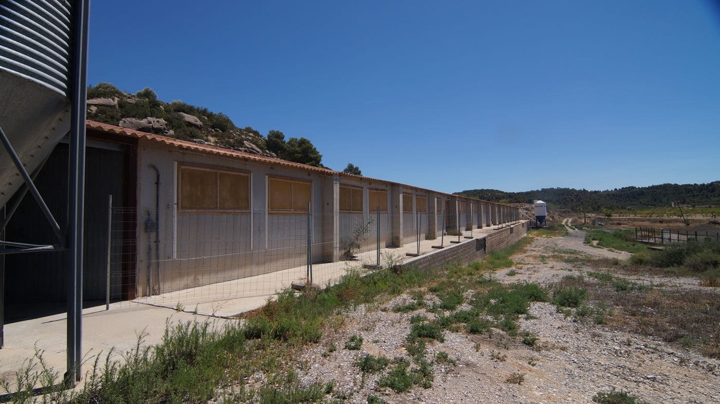 Gewerbe zu verkaufen in Els Omellons - 750.000 € (Ref: 9617954)