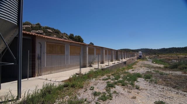 Komercyjne na sprzedaż w Els Omellons - 750 000 € (Ref: 9617954)