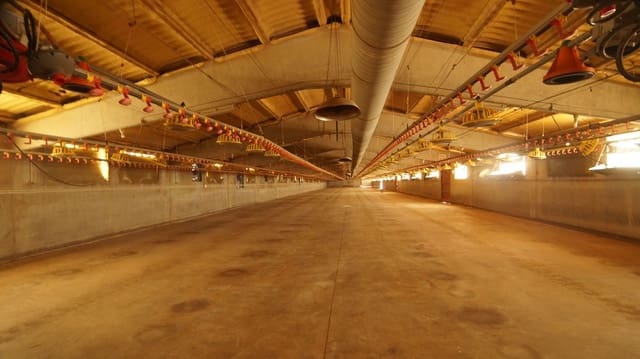 Komercyjne na sprzedaż w Els Omellons - 750 000 € (Ref: 9617954)