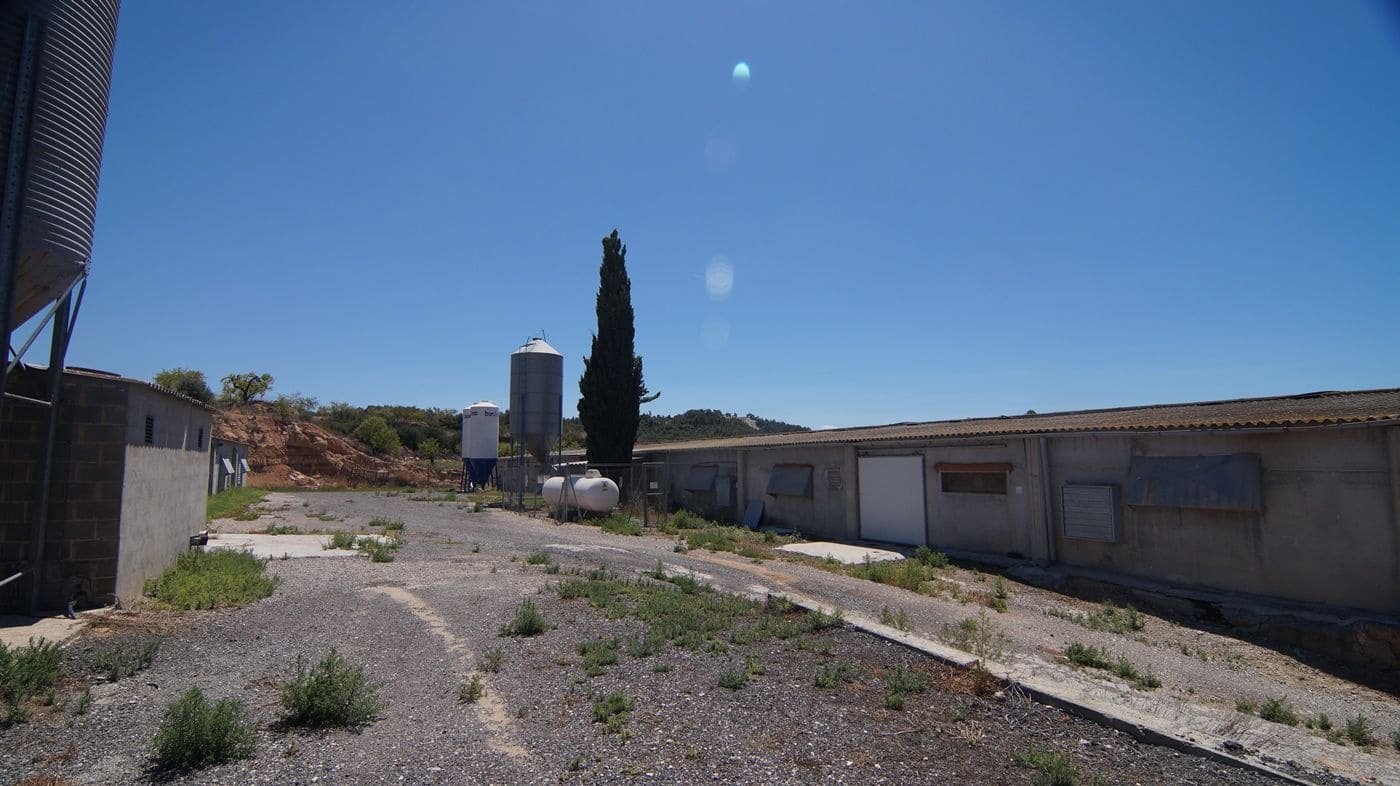 Gewerbe zu verkaufen in Els Omellons - 750.000 € (Ref: 9617954)