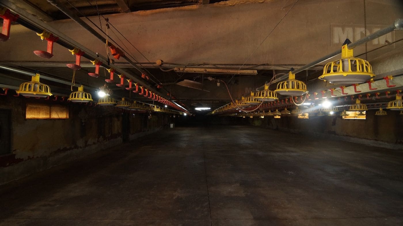 Gewerbe zu verkaufen in Els Omellons - 750.000 € (Ref: 9617954)