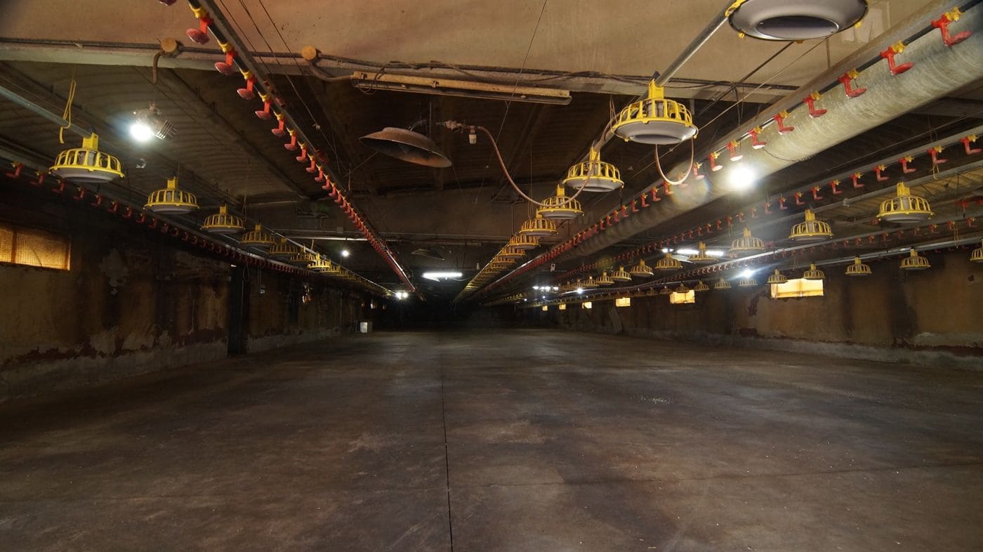 Gewerbe zu verkaufen in Els Omellons - 750.000 € (Ref: 9617954)