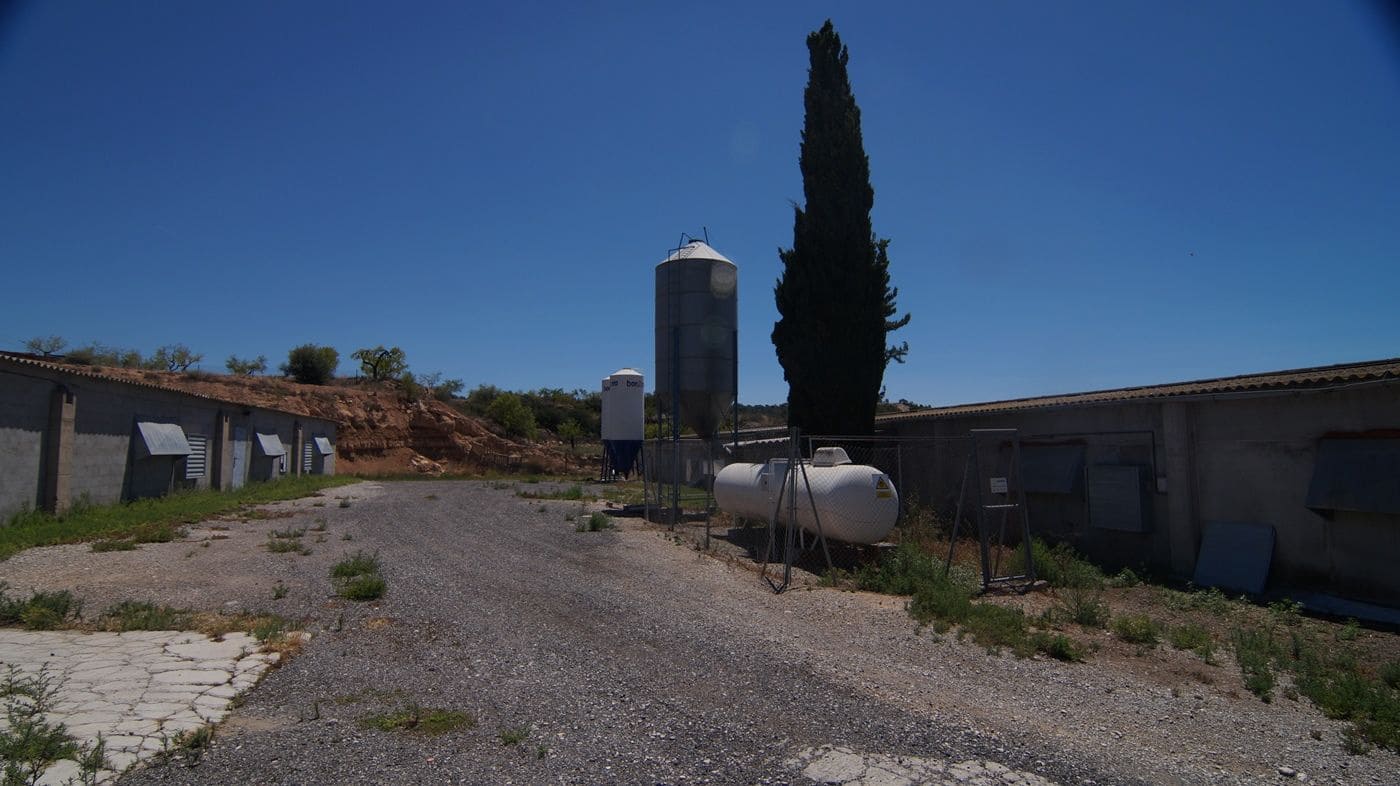 Gewerbe zu verkaufen in Els Omellons - 750.000 € (Ref: 9617954)