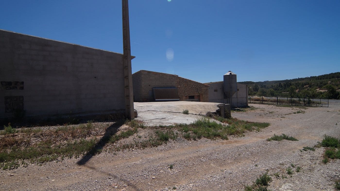 Gewerbe zu verkaufen in Els Omellons - 750.000 € (Ref: 9617954)