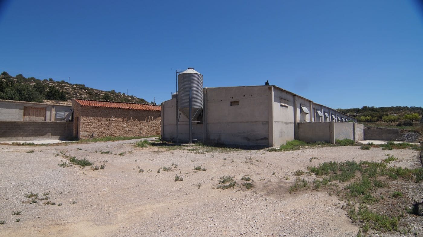 Gewerbe zu verkaufen in Els Omellons - 750.000 € (Ref: 9617954)