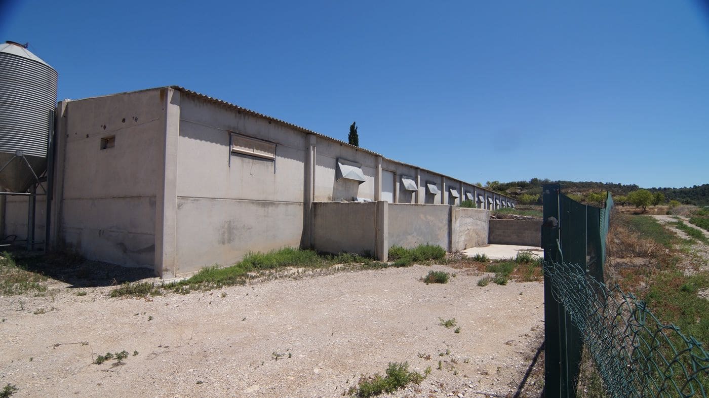 Gewerbe zu verkaufen in Els Omellons - 750.000 € (Ref: 9617954)