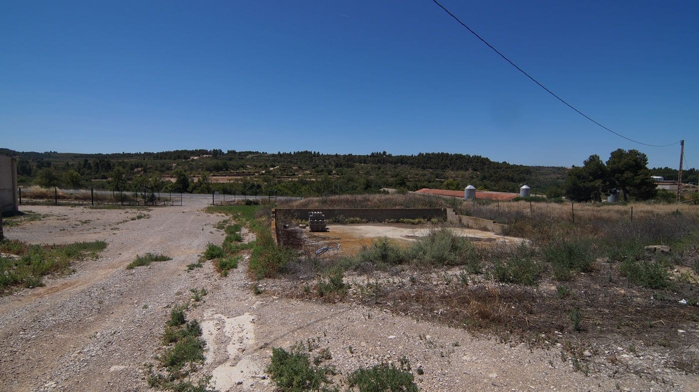 Gewerbe zu verkaufen in Els Omellons - 750.000 € (Ref: 9617954)