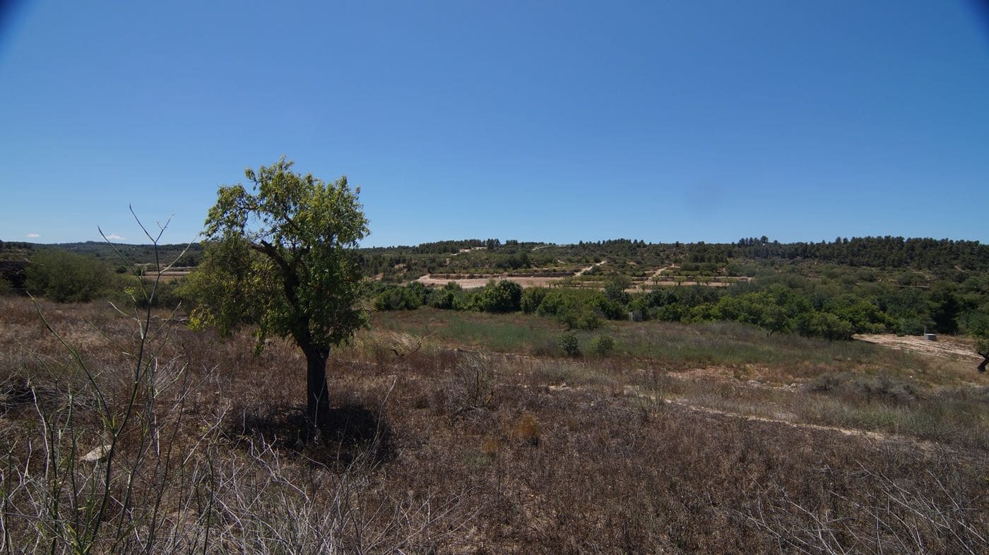 Gewerbe zu verkaufen in Els Omellons - 750.000 € (Ref: 9617954)