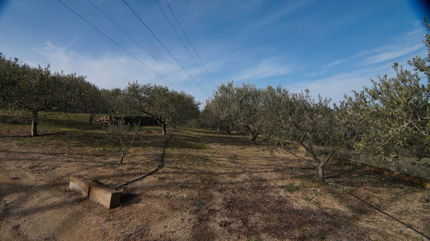 Finca/Hus på landet till salu i Falset - 140 000 € (Ref: 9617956)